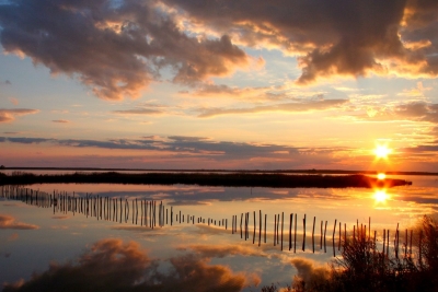 Dorchester County - National Wildlife Refuge