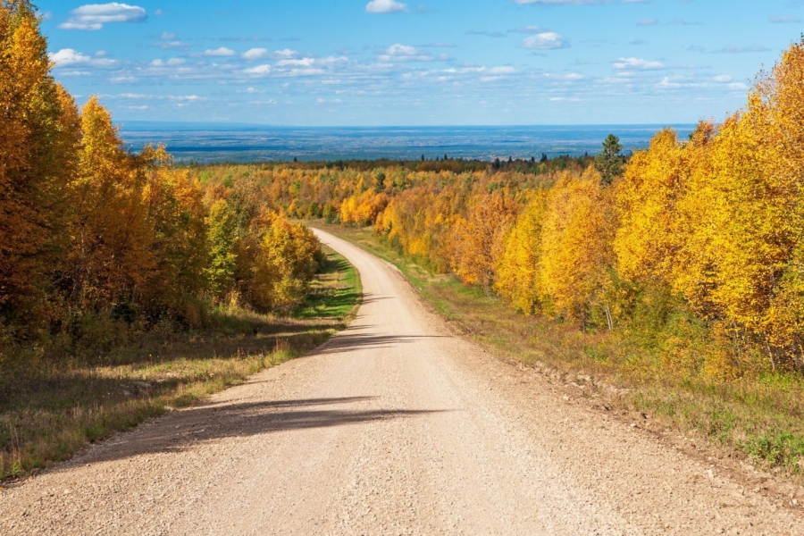 Prince Albert National Park