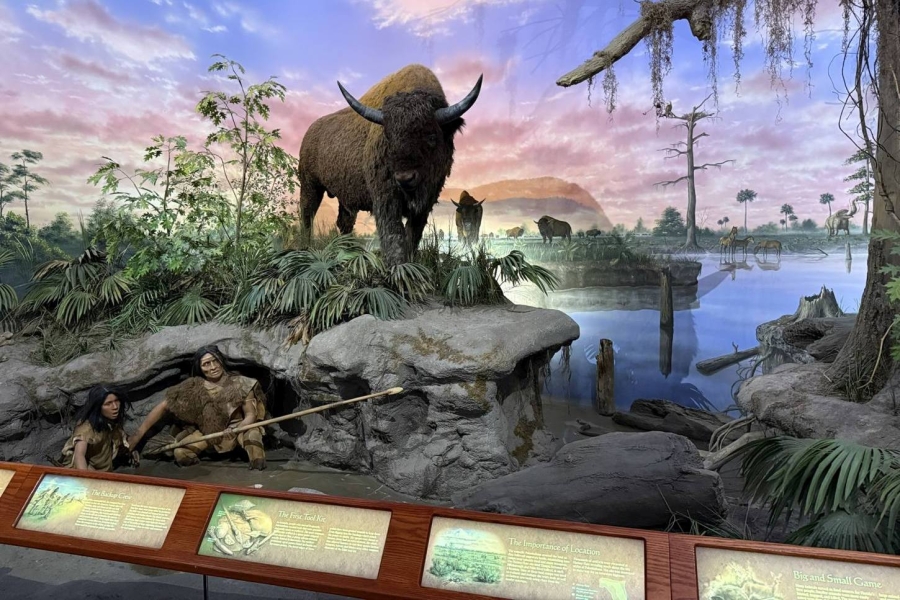 Floridas Geschichte hautnah: Das Bishop Museum of Science and Nature in Bradenton