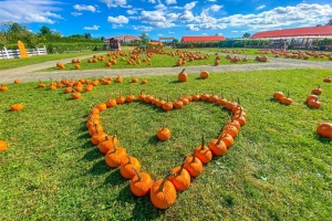 Herbstfestival auf der White Post Farm