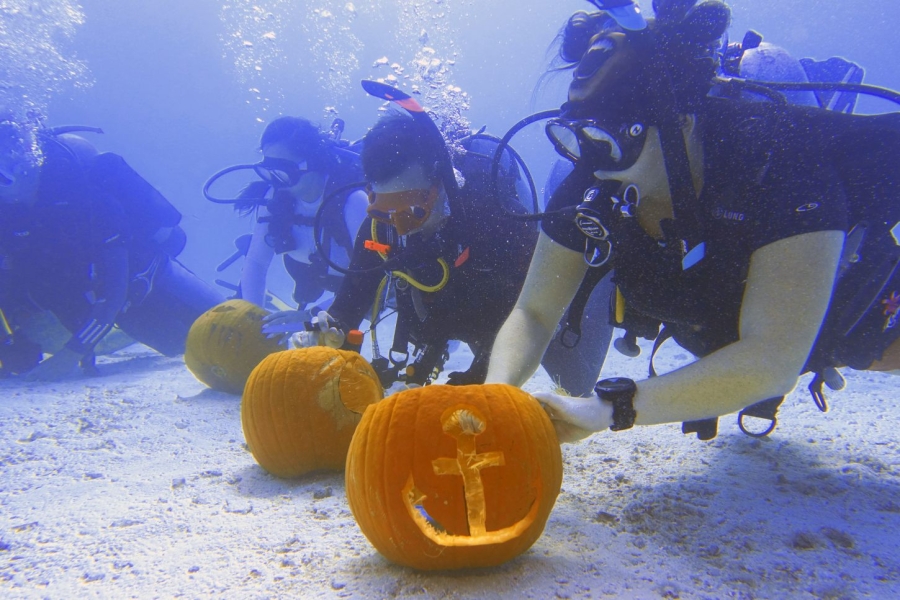 Halloween auf den Florida Keys: Zombies auf Rädern, Geistersuche &amp; Kürbissschnitzen unter Wasser