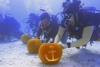 Halloween auf den Florida Keys: Zombies auf Rädern, Geistersuche &amp; Kürbissschnitzen unter Wasser