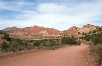 Zufahrt in die Coyote Buttes