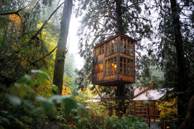 Treehouse Point