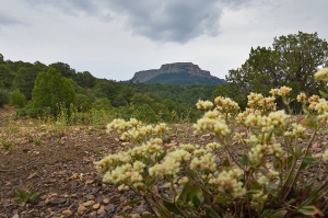 Fishers Peak - Neuer State Park in Colorado