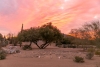 Rückzug mit Weitblick und digital Detox:  Arizonas stille Seite