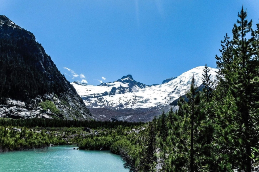 Reservierungspflicht für den Mount Rainier Nationalpark 2024 - alle Informationen und Details