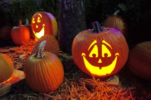 Typisch für Halloween: die ausgehöhlten und beleuchteten Kürbisse