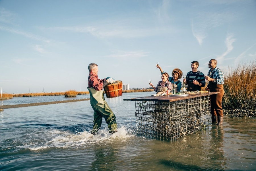 Oyster Tasting Tour in Virginia Beach