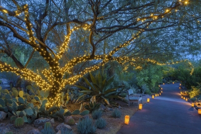 Las Noches del las Luminarias at Desert Botanical Garden