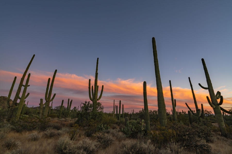 Jubiläen, Hotels &amp; Attraktionen: viele Neuigkeiten in Arizona 2024