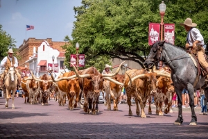 Forth Worth Stockyards