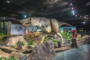  Las Vegas Natural History Museum