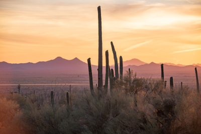 Abendrot in Arizona