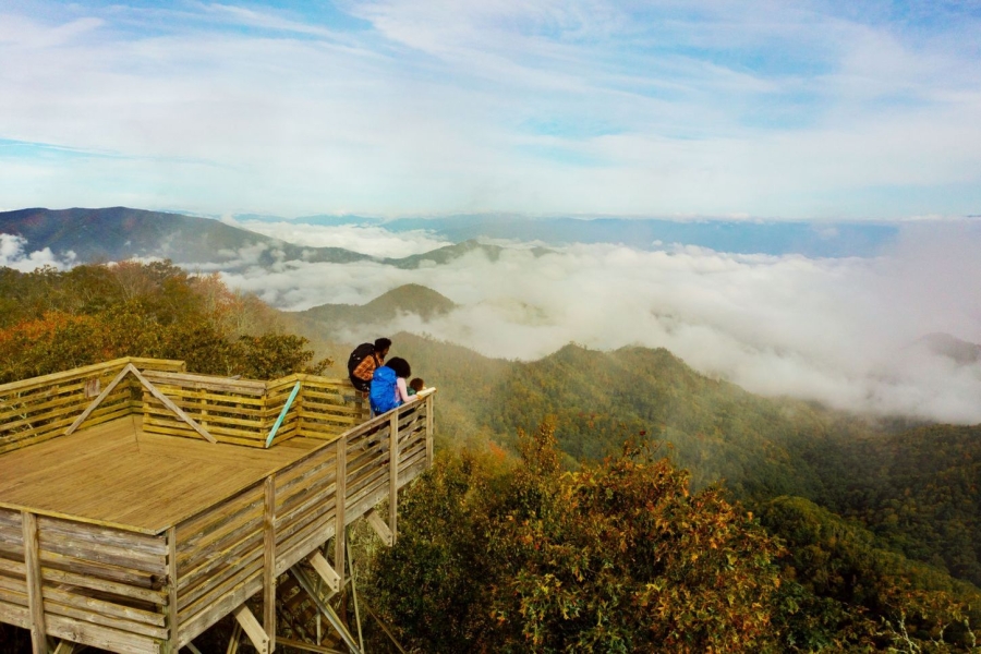 Blick auf die Berge vom Wesser Bald Fire Tower aus